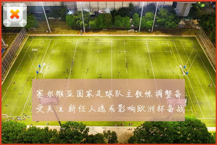 塞尔维亚国家足球队主教练调整备受关注 新任人选或影响欧洲杯备战